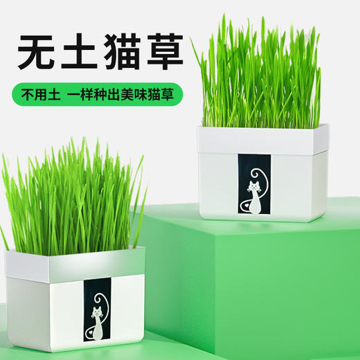 尊宝猫草锡纸装含沙土+1包种子 懒人猫草种植袋 化毛球猫咪零食 商品图0
