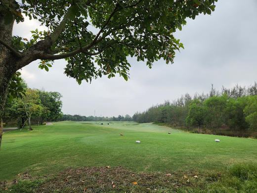 越南哈默尼高尔夫公园 Harmonie Golf Park | 越南高尔夫球场 俱乐部 | 胡志明高尔夫 商品图1