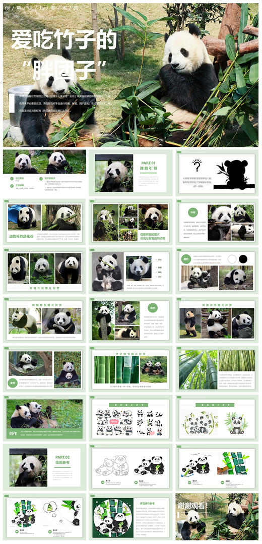 《爱吃竹子的“胖团子”》自动发货：下单后，点击手机短信中收到的链接，即可获取文件下载的链接；如有任何问题，可添加客服微信hm33268获得帮助。 商品图1