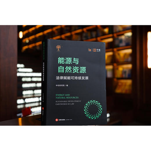 能源与自然资源：法律赋能可持续发展 中伦研究院编 商品图0