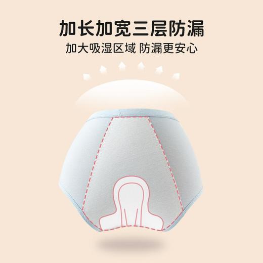 3 部顶瓜瓜郁金香小花 生理内裤2条装DTZNK-AO6881 商品图3