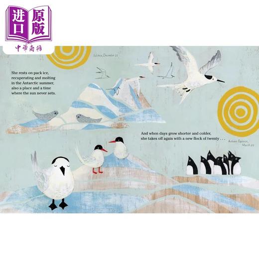 【中商原版】北极燕鸥的迁徙 Amy Hevron The Longest Journey 英文原版 儿童科普绘本 鸟类知识百科图画书 精装绘本 进口图书 商品图3