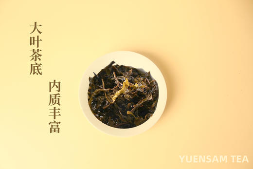 2011年千两茶颗粒湖南安化黑茶越陈越香500克 商品图4