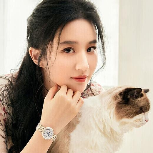 天梭Tissot手表女士机械嘉丽小美人时尚女表 T126.207.11.013.00 商品图2