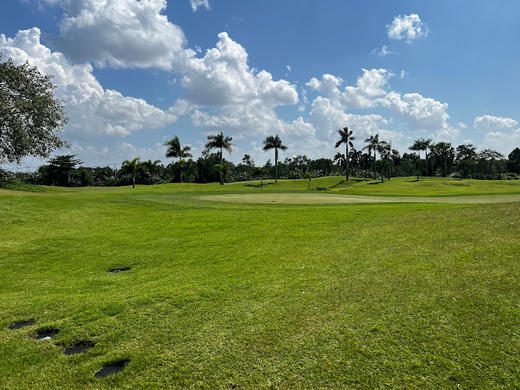 越南泰光定山乡村俱乐部 Taekwang Jeongsan Country Club | 越南高尔夫球场 俱乐部 | 胡志明高尔夫 商品图7