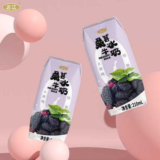 左江桑葚水牛奶210ml*10盒/箱 商品图1