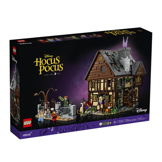 乐高积木L21341乐高我的世界系列桑德森姐妹的魔法屋 商品图4