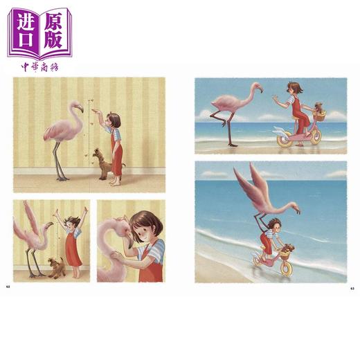 【中商原版】火烈鸟 Guojing The Flamingo 英文原版 儿童绘本 动物故事图画书 精装图画小说 进口图书 兰登书屋出版 儿童读物 商品图4