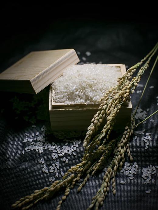 物元农场有机大米5斤火山岩米当季新米现磨真空包装东北粳米 商品图1