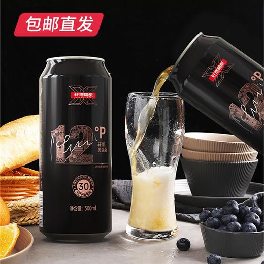 轩博精酿 黄金版12P 500ml*12【GA】【包邮直发】（ZB） 商品图4