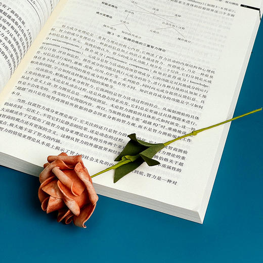 心理测量 第三版 金瑜主编 心理学专业 核心课程教材 心理健康 商品图8