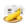 北纬47度水果玉米 约220g 商品缩略图2