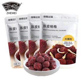 浙梅陈皮杨梅蜜饯果干零食42g*4袋