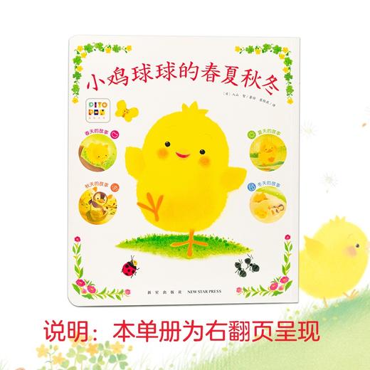 小鸡球球的大成长 全5册  变点心 春夏秋冬 双语认知图鉴 向日葵 小刺猬 点读版 入山 智 著 动漫卡通 商品图3
