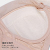 J熙光系列夹棉杯文胸W351C07 商品缩略图2