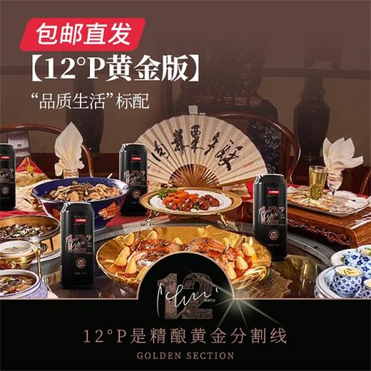 轩博精酿 黄金版12P 500ml*12【GA】【包邮直发】（ZB） 商品图1