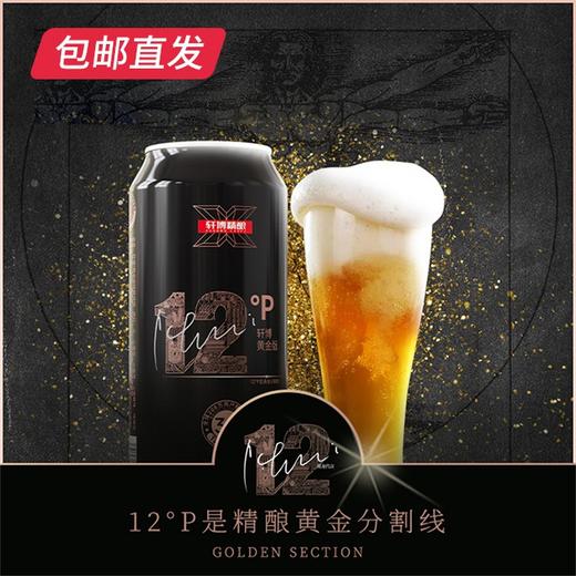 轩博精酿 黄金版12P 500ml*12【GA】【包邮直发】（ZB） 商品图2