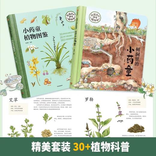 给孩子的神奇植物课全2册 JST树洞里的小药童植物图鉴5-12岁儿童植物百科全书小学生一二三年级课外书科普读物植物绘本正版狐狸家 商品图1