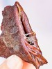 内蒙古特产原切牛肉大片风干牛肉干 商品缩略图3