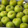 生态青脆李 | 合作生产*  Ecological Green crispy plum | Partner Production 商品缩略图1