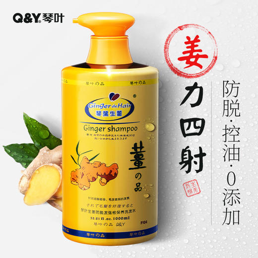 【洗护好物丨琴叶生姜洗发水1000ml】十九年老品牌，去屑/滋润/控油三款随心选，活化毛囊拯救发际线，超大瓶装性价比高，护发素修护受损头发，老姜萃取+淡淡柠檬味道，植物配方温和不刺激 商品图1