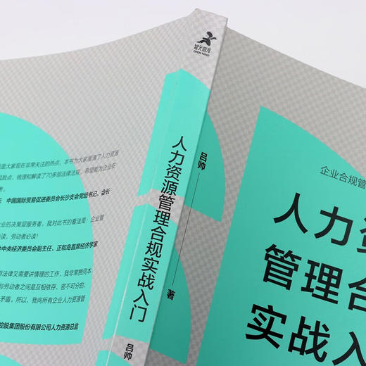 人力资源管理合规实战入门 吕帅 著 管理 商品图2