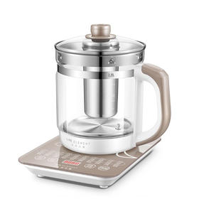 生活元素（LIFE ELEMENT） 养生壶 加厚玻璃全自动智能电热水壶 多功能煮茶器煎药壶 D23 灰色