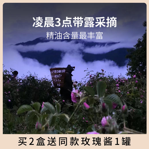 四川阿坝州 小金玫瑰花冠茶花瓣茶 整朵玫瑰当天采摘当天烘干 买2盒赠玫瑰花酱！ 商品图8