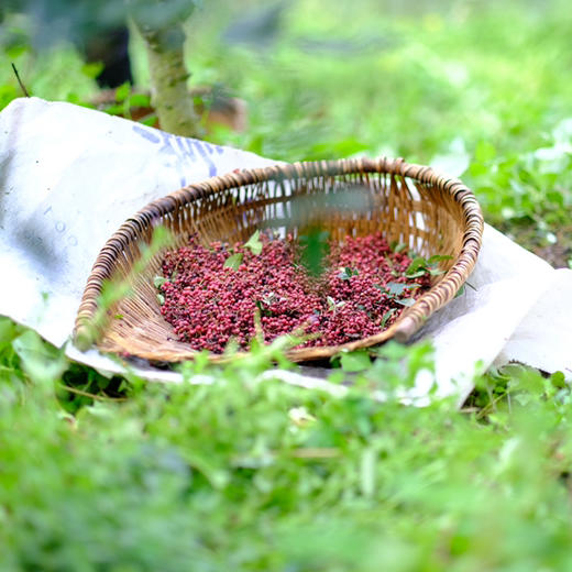 2025今年新花椒上架 汉源贡椒红花椒油，国家地理标志产品，自然生长零农残无污染 ，非转基因菜籽油结合，3天左右发货~ 商品图9