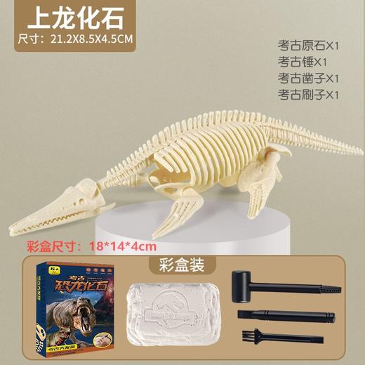 考古玩具恐龙挖掘化石骨架挖宝考古手工diy石膏玩具儿童兴趣培养 商品图8