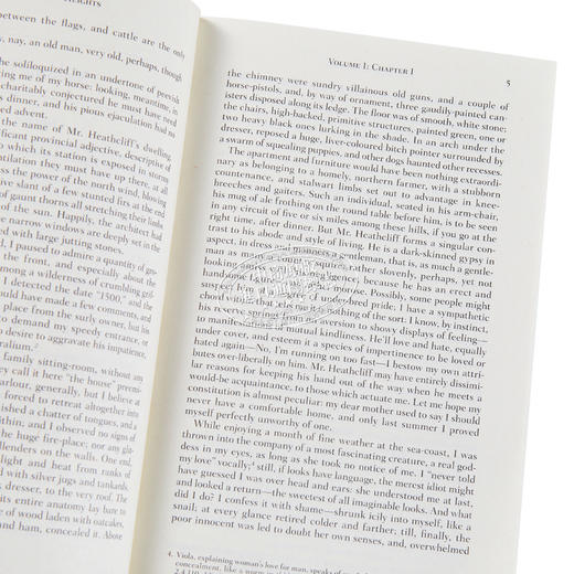 【中商原版】Wuthering Heights 英文原版 呼啸山庄  Emily Bronte 商品图3