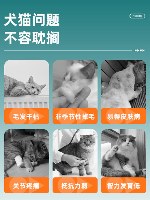 新宠之康 深海鱼油120ml 犬猫通用 商品图1