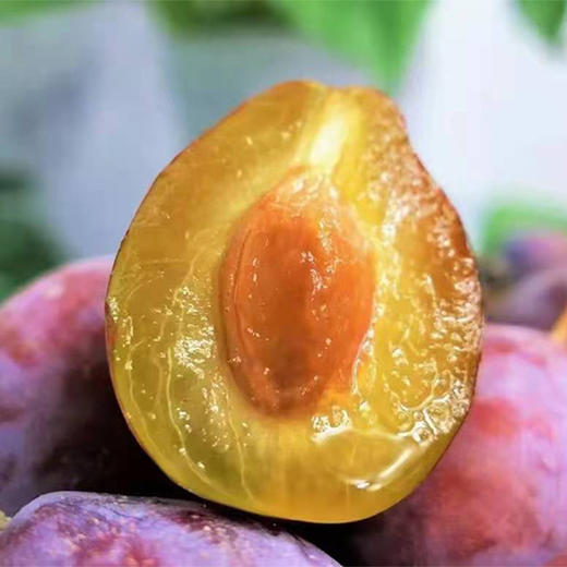 【果蔬精选】新疆喀什法兰西西梅 应季水果 集颜值 口感 营养于一身 皮薄肉嫩 香甜多汁 轻咬一口汁水四溢 果肉芳香甜美 商品图1