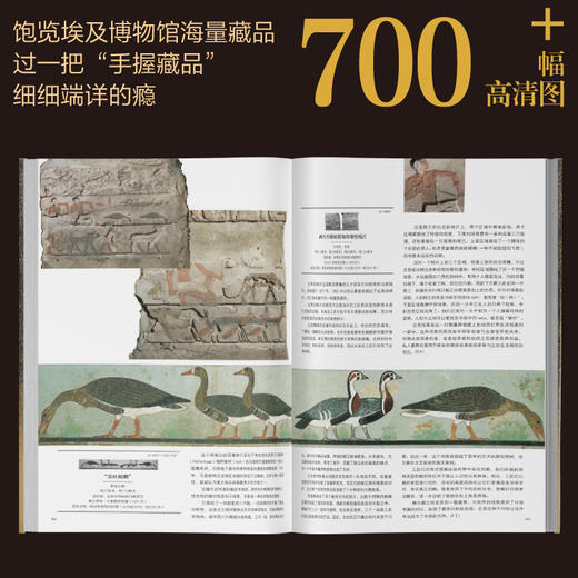 埃及博物馆珍宝图鉴，700+稀缺高清图，60万字带你了解古埃及 商品图3