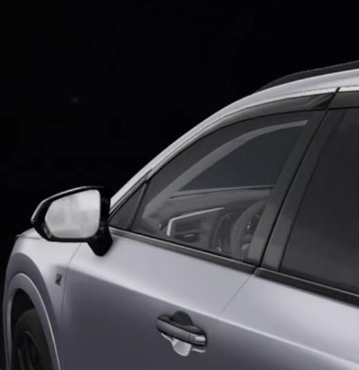 雷克萨斯雨眉 商品图0