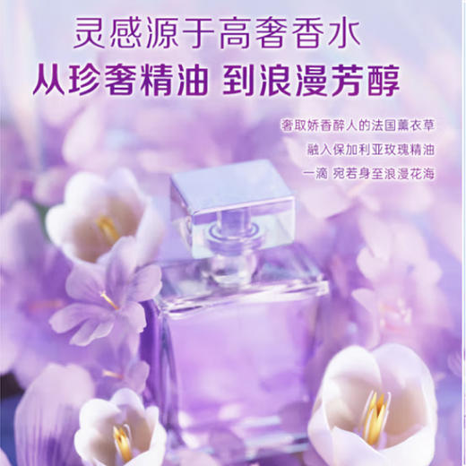 立白除菌净护天然洗衣凝珠（薰衣草精油）【208g】 商品图3