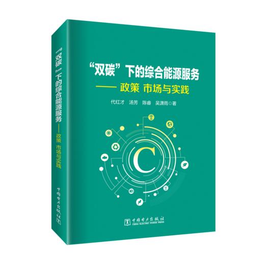 “双碳”下的综合能源服务——政策、市场与实践 商品图0