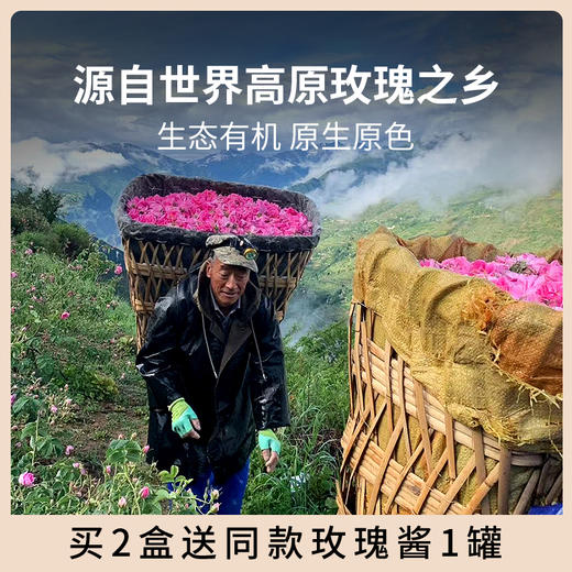 四川阿坝州 小金玫瑰花冠茶花瓣茶 整朵玫瑰当天采摘当天烘干 买2盒赠玫瑰花酱！ 商品图6