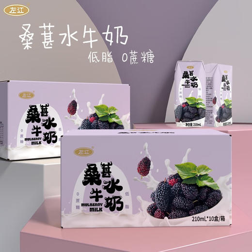 左江桑葚水牛奶210ml*10盒/箱 商品图0