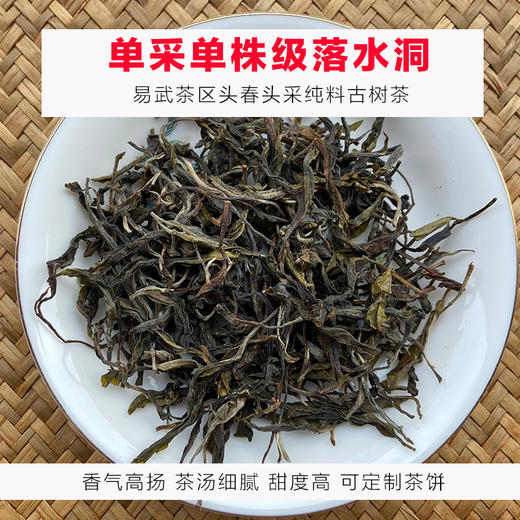 易武麻黑落水洞古树茶普洱茶生茶散茶纯料单采单株2023年 商品图0