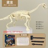 考古玩具恐龙挖掘化石骨架挖宝考古手工diy石膏玩具儿童兴趣培养 商品缩略图13