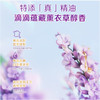 立白除菌净护天然洗衣凝珠（薰衣草精油）【208g】 商品缩略图1