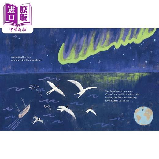 【中商原版】北极燕鸥的迁徙 Amy Hevron The Longest Journey 英文原版 儿童科普绘本 鸟类知识百科图画书 精装绘本 进口图书 商品图1