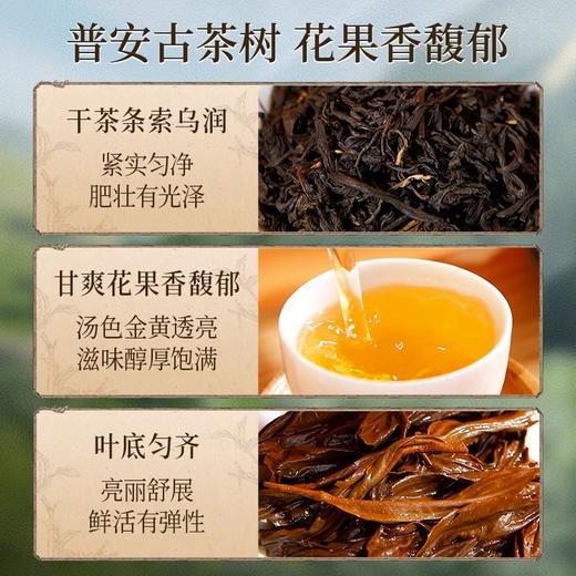 正山堂 普安红 骏眉中国产区茶系列 贵州大叶种特级红茶叶罐装50g 商品图3