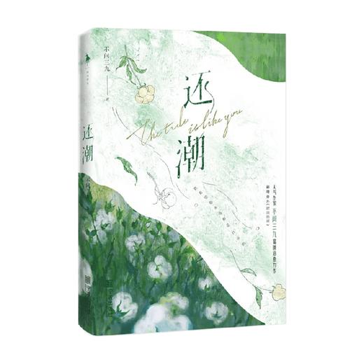 还潮 不问三九 著 青春文学 商品图4