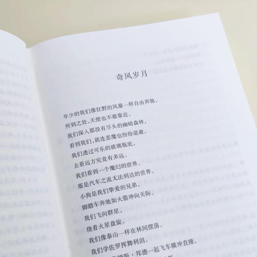《奇风岁月》 商品图3
