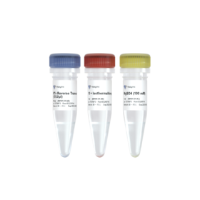 RTv Reverse Transcriptase