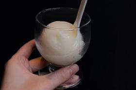 日本柚子獭祭（含酒）sorbet