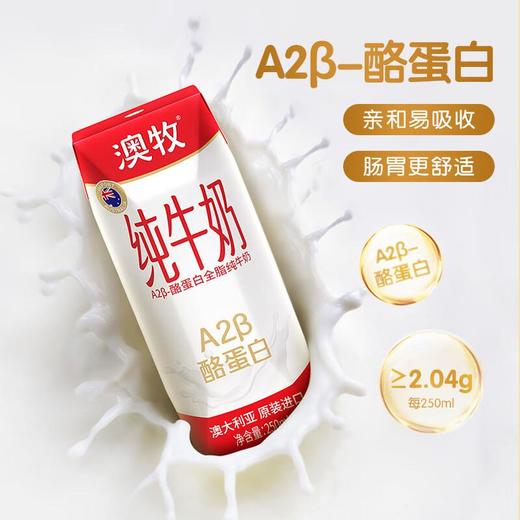 澳牧进口全脂牛奶250ml*12 商品图1