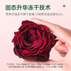 【墨红玫瑰礼盒装】养生茶饮首选墨红玫瑰，好玫瑰造就美丽女人，冻干技术锁鲜，满满花青素 商品缩略图3